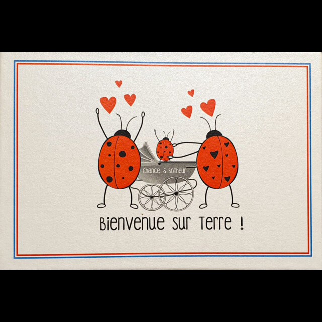 Chaussettes Coccinelle - Coffret cadeau