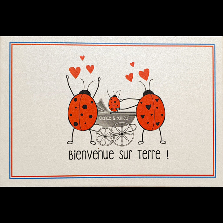 Chaussettes Coccinelle - Coffret cadeau