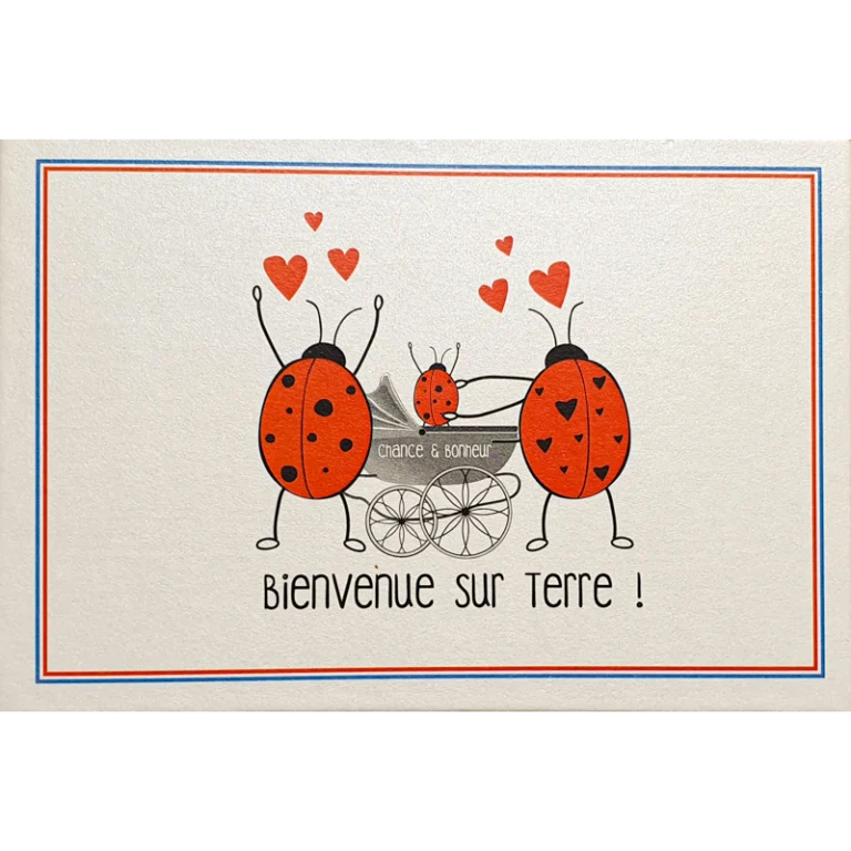 Chaussettes Coccinelle - Coffret cadeau