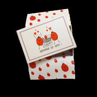 Chaussettes Coccinelle - Coffret cadeau