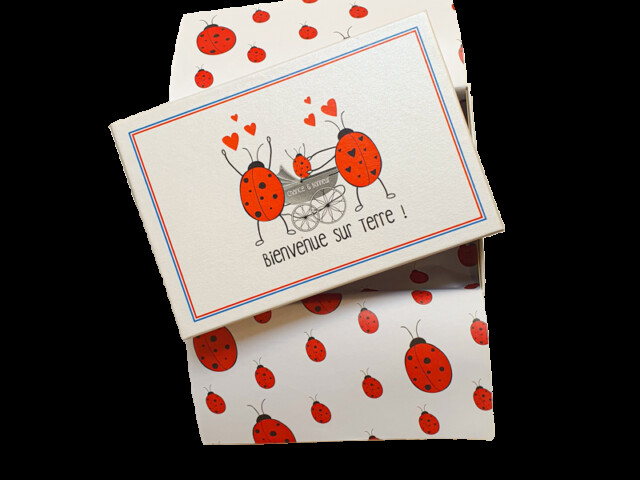 Chaussettes Coccinelle - Coffret cadeau