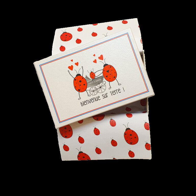 coffret cadeau Chaussettes Coccinelle - Coffret cadeau