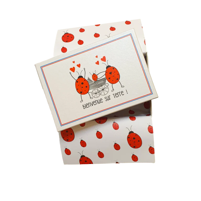 coffret cadeau Chaussettes Coccinelle - Coffret cadeau