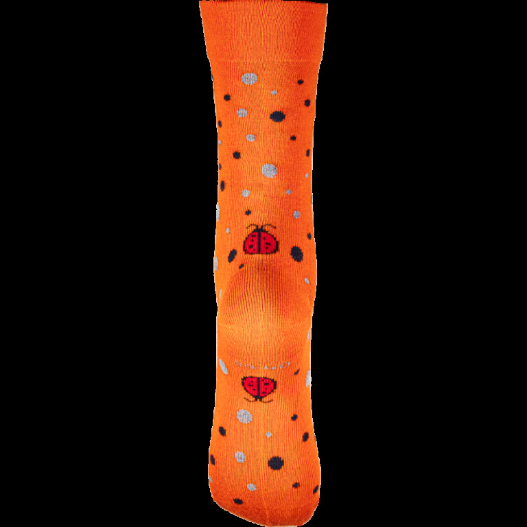 Chaussettes Coccinelle - Éclats d'automne... – 47/48