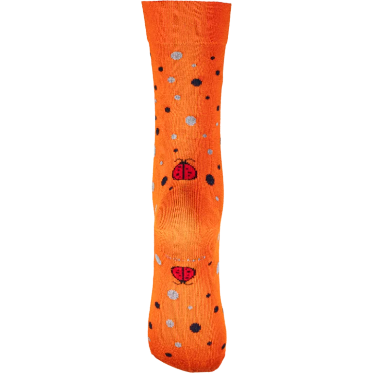 Chaussettes Coccinelle - Éclats d'automne... – 43/44