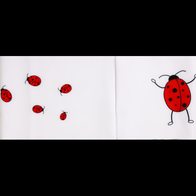 Chaussettes Coccinelle - Bandeau technique – Taille unique