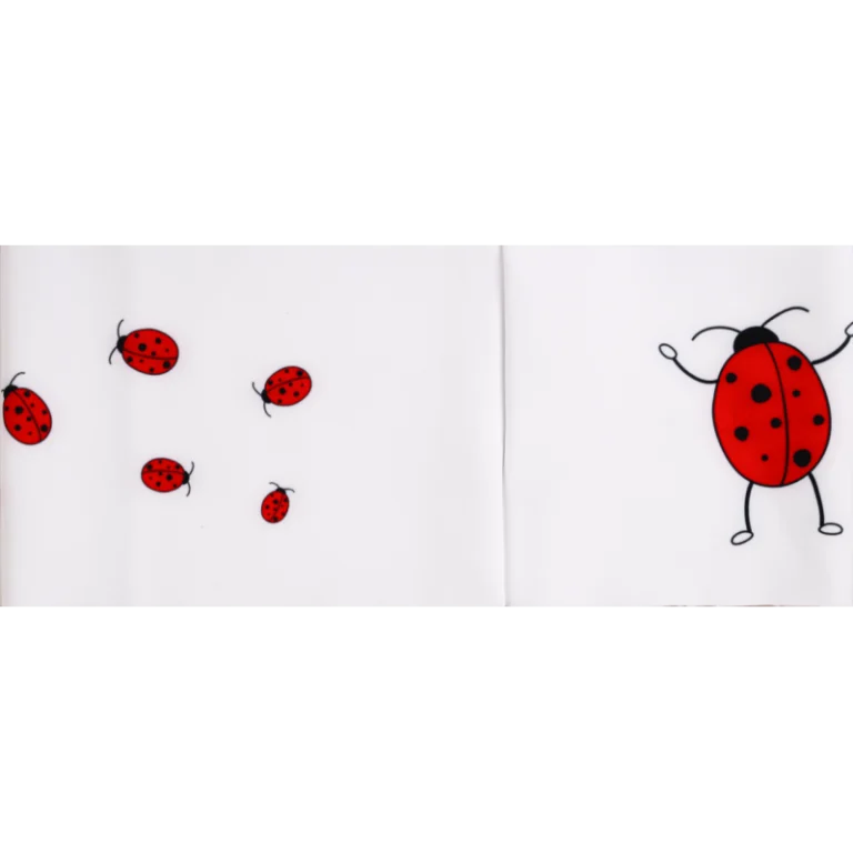 Chaussettes Coccinelle - Bandeau technique – Taille unique