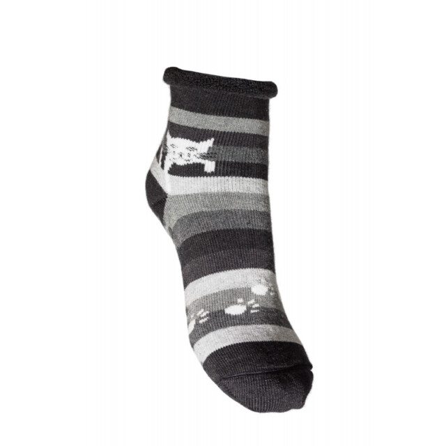 Chaussettes Coccinelle - Féline – 31/34