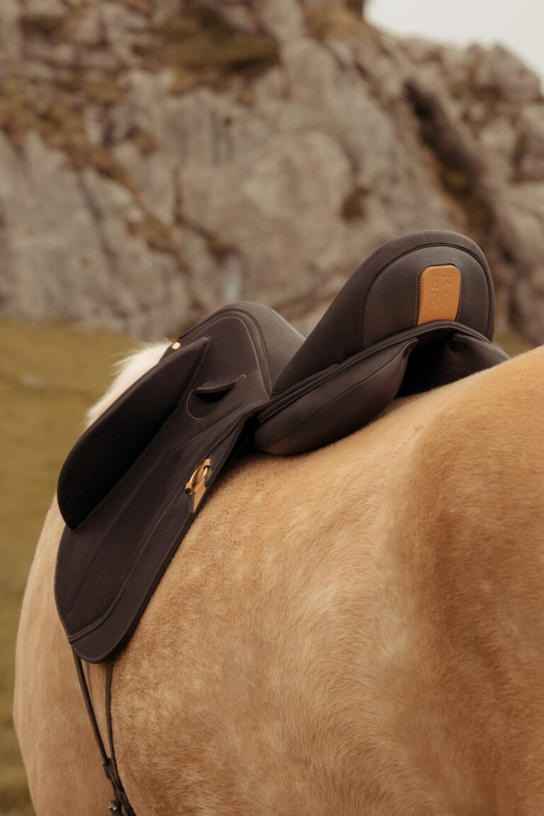 Ma boutique - Selle GETARIA