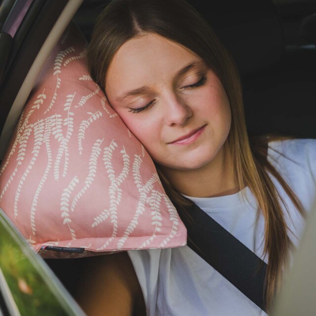 Cosy Club - Oreiller de voiture · ISIDOR Santiago