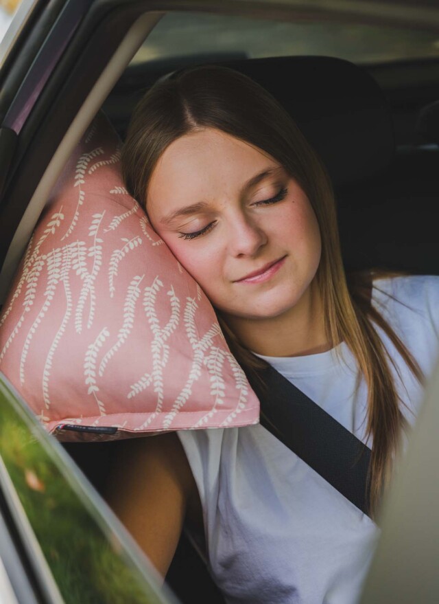 Cosy Club - Oreiller de voiture · ISIDOR Santiago