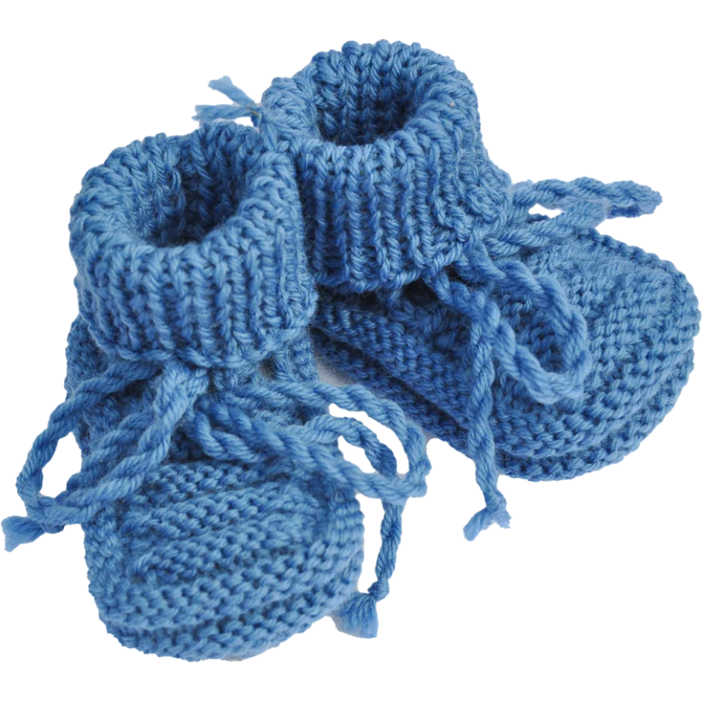les chaussons de maria victoria Prune