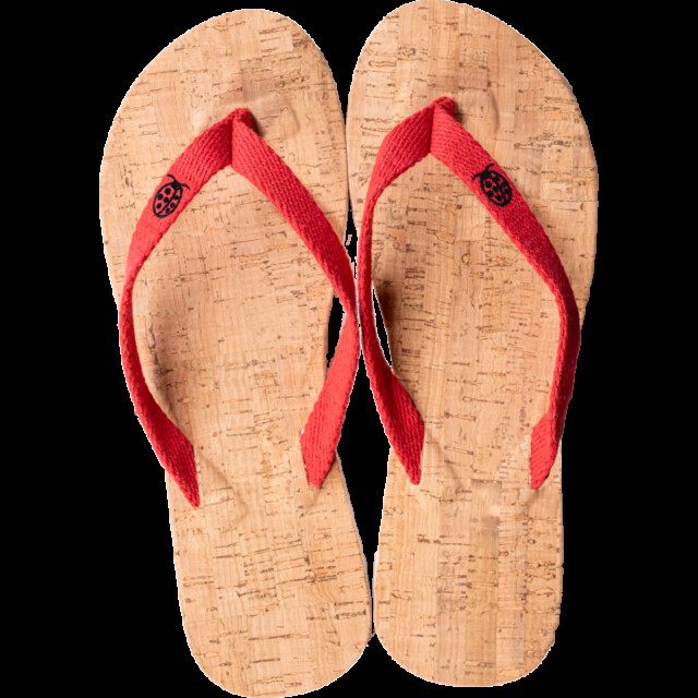 Chaussettes Coccinelle - Les Tongs de la Coccinelle – 44/45