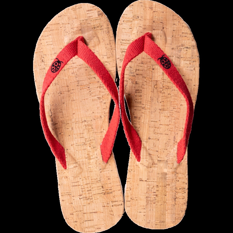 Chaussettes Coccinelle - Les Tongs de la Coccinelle – 40/41