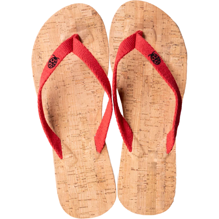Chaussettes Coccinelle - Les Tongs de la Coccinelle – 44/45