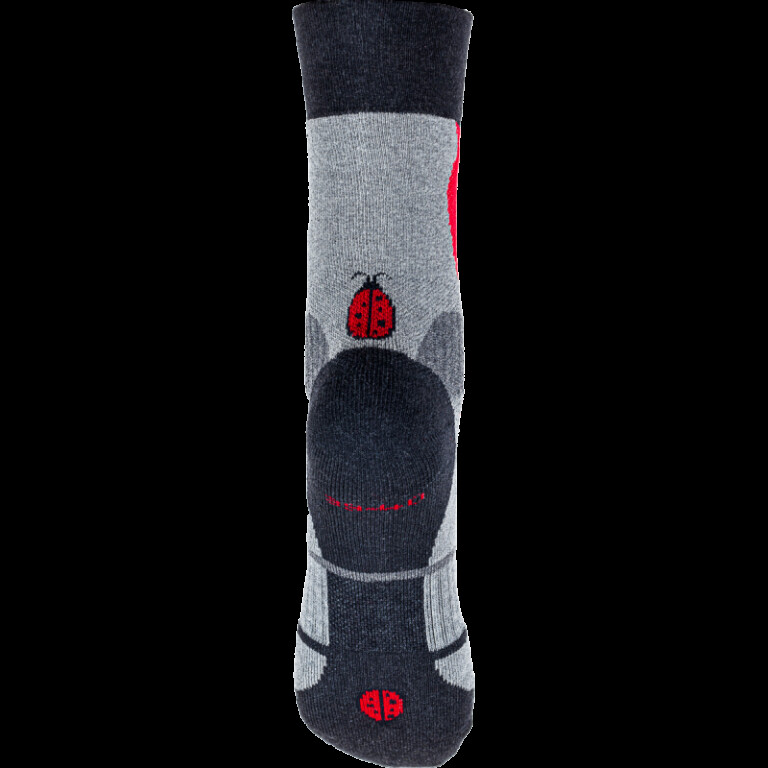 Chaussettes Coccinelle - Lynx rouge - Nouveauté bio ! – 47/48