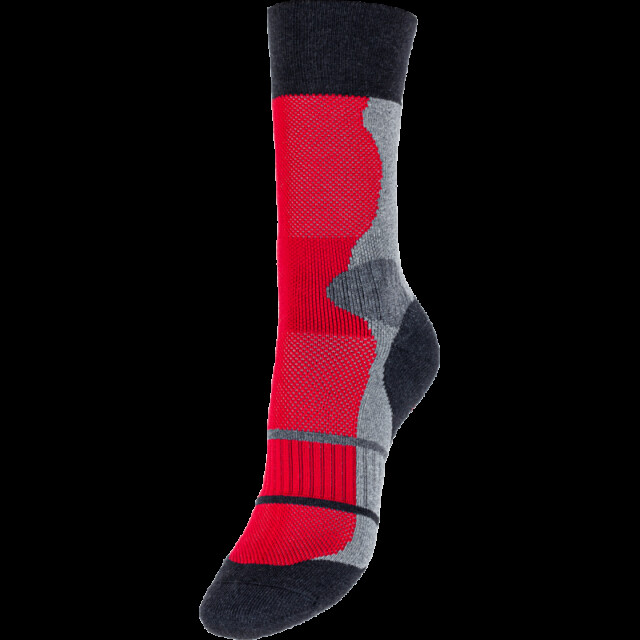 Chaussettes Coccinelle - Lynx rouge – Nouveauté bio !
