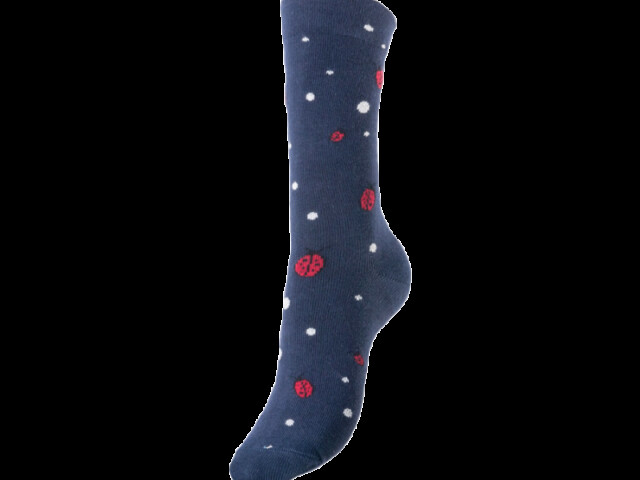 Chaussettes Coccinelle - Marie Pétille - tout petit prix ! – 35/36