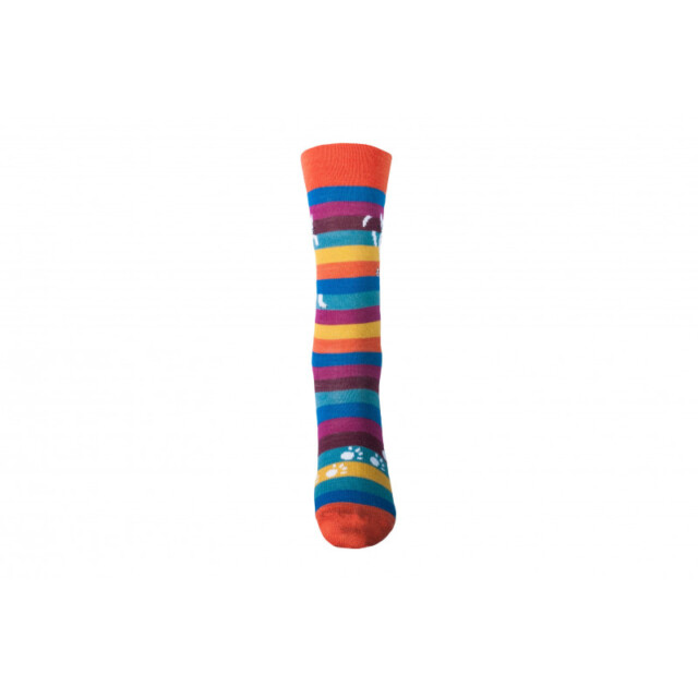 Multicolore rayé