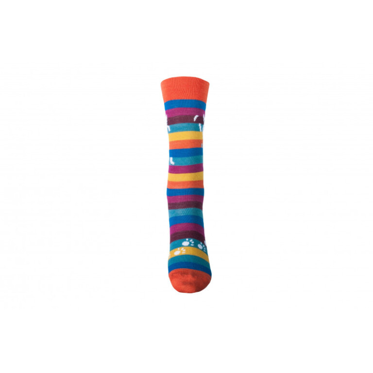 Multicolore rayé