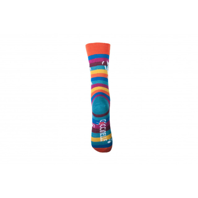 Multicolore rayé