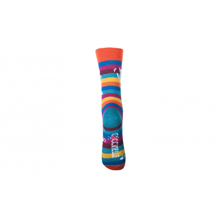 Multicolore rayé