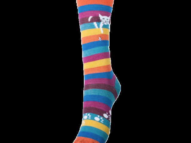 Multicolore rayé