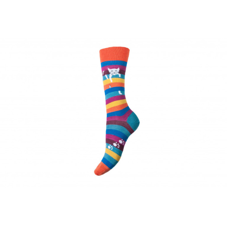 Multicolore rayé