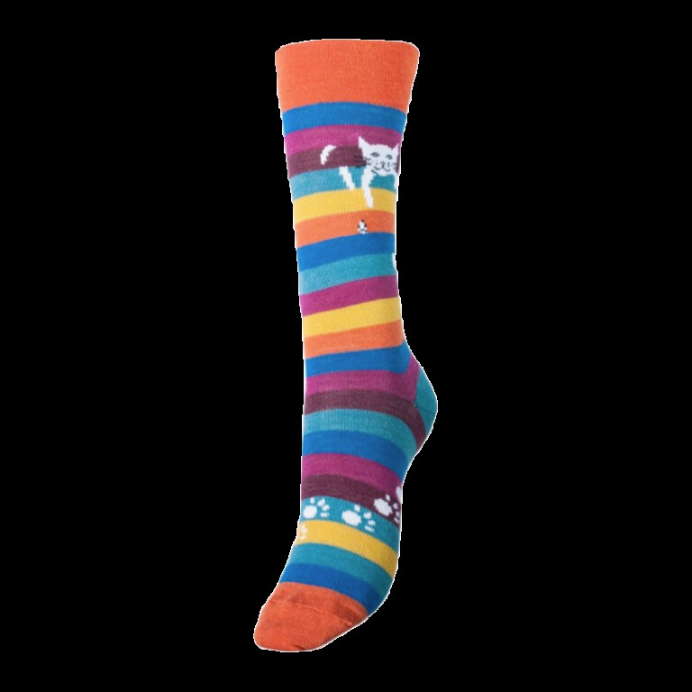 Multicolore rayé