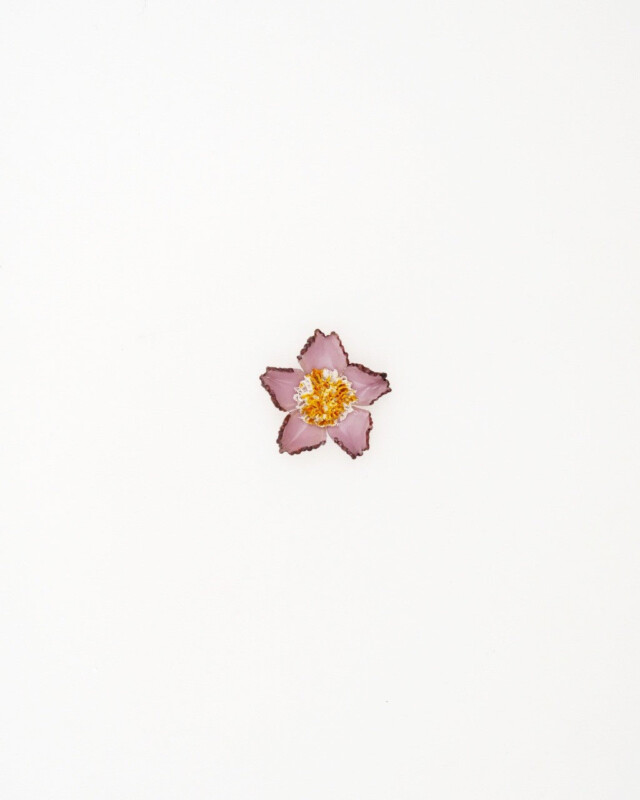 Ciléa Bijoux - Pendentif Tuba - Mini – Citron / Je ne veux pas la chaîne