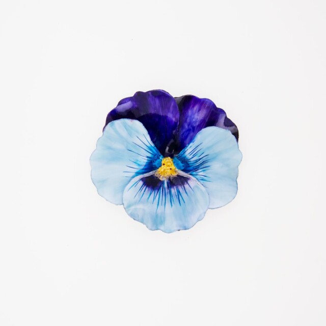 Ciléa Bijoux - Broche Pensée viola – Fuchsia