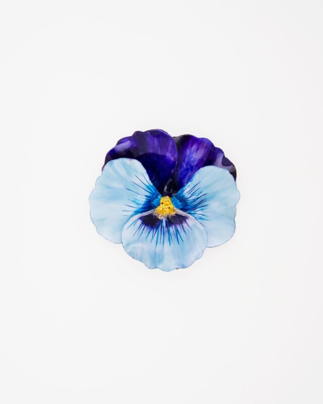 Ciléa Bijoux - Broche Pensée viola – Fuchsia