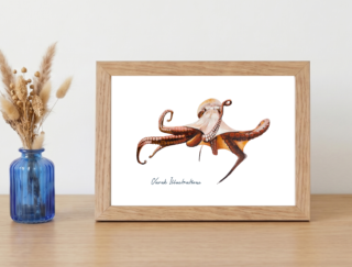 Varek Illustrations - Affiche Le Poulpe : Petit format encadré (A10)