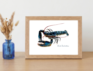Varek Illustrations - Affiche Le Homard : Petit format encadré (A10)