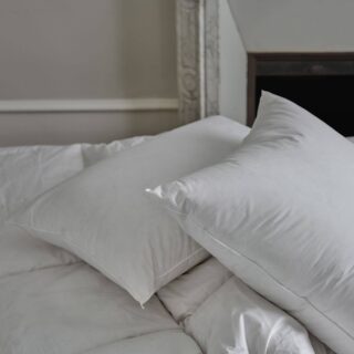 Oreiller moelleux en duvet et percale biologique Carla par la marque Camif Camif - Oreiller moelleux en duvet et percale biologique Carla