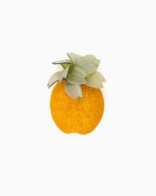 Ciléa Paris - Broches fruits Ananas  Grand