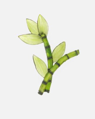 Ciléa Paris - Broche Bambou