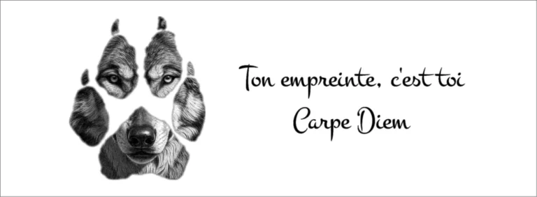 Sève et Copeaux - Banc de méditation gravé "empreinte loup" (en Espagnol ou Français)