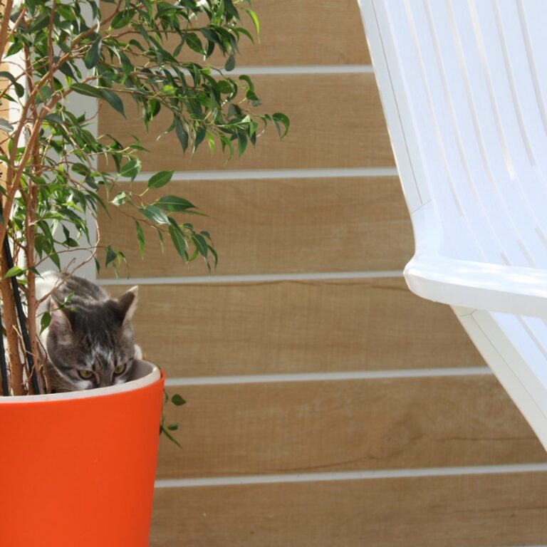 Grosfillex B2C - Abri de jardin 7
