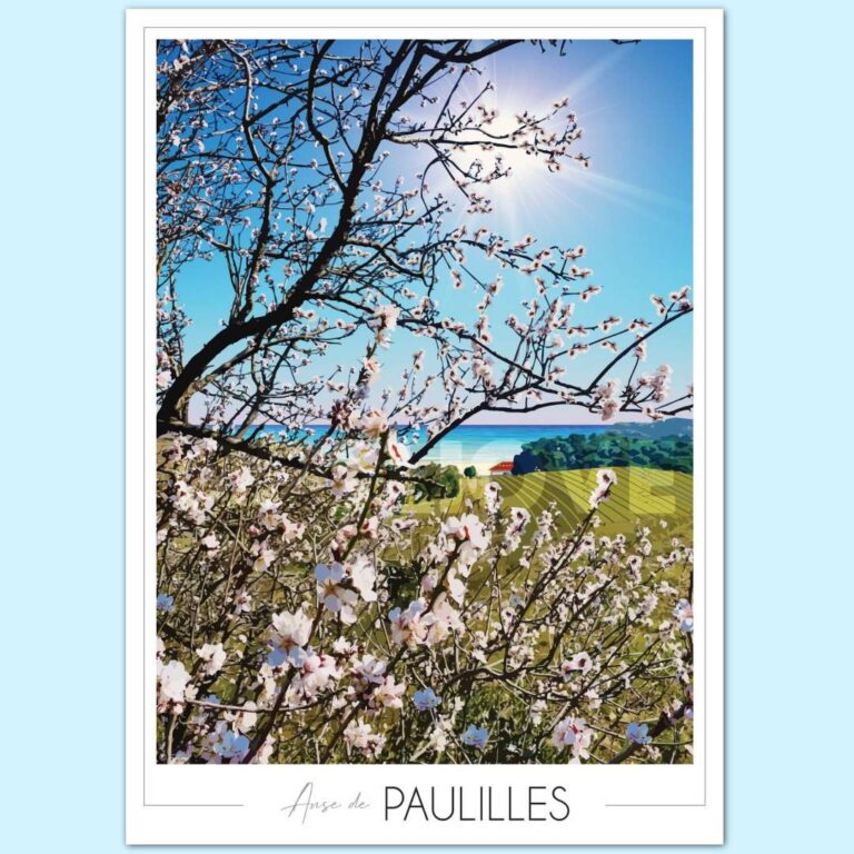 Affiche Anse de Paulilles vignes 1 min Foliove - Affiche Anse de Paulilles - Amandiers – 100x140 cm (B0)