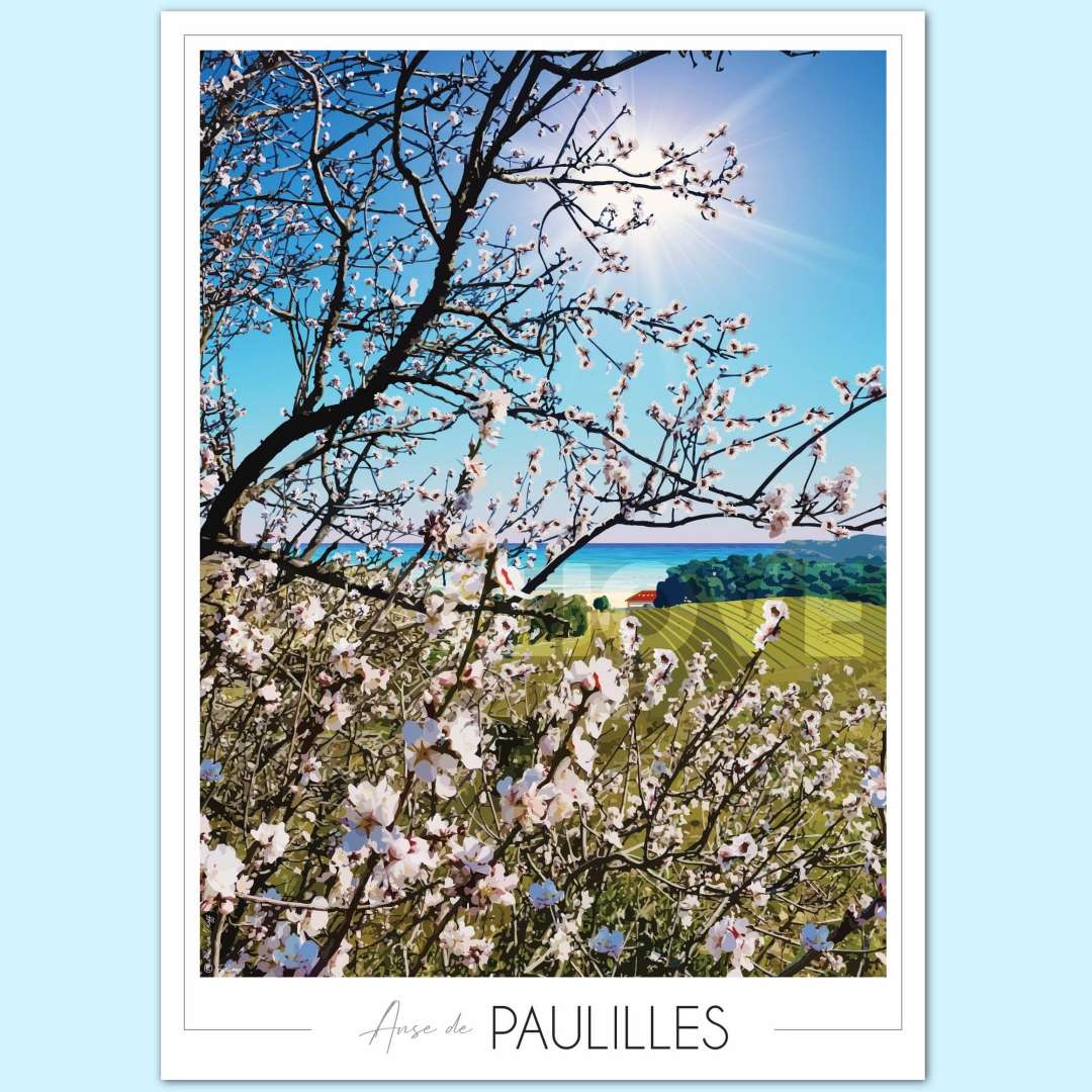 Affiche Anse de Paulilles vignes 1 min Foliove - Affiche Anse de Paulilles - Amandiers – 100x140 cm (B0)