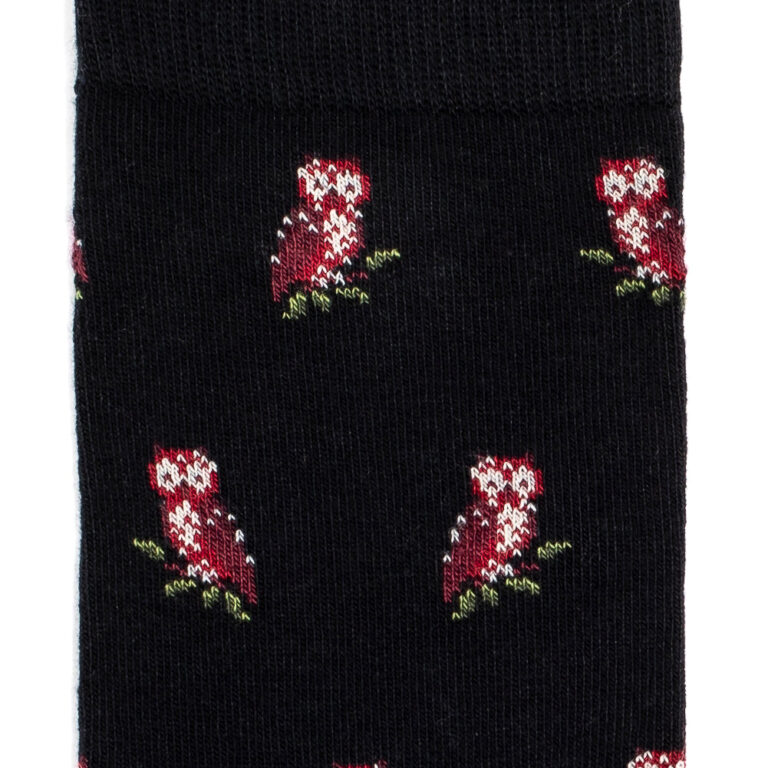 Maison Broussaud - Les chouettes - chaussettes homme - coton noir – 39/42 / NOIR
