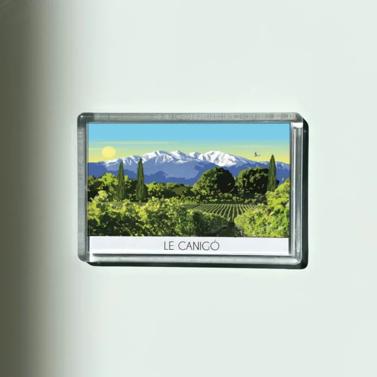 Foliove - Magnet Canigó enneigé