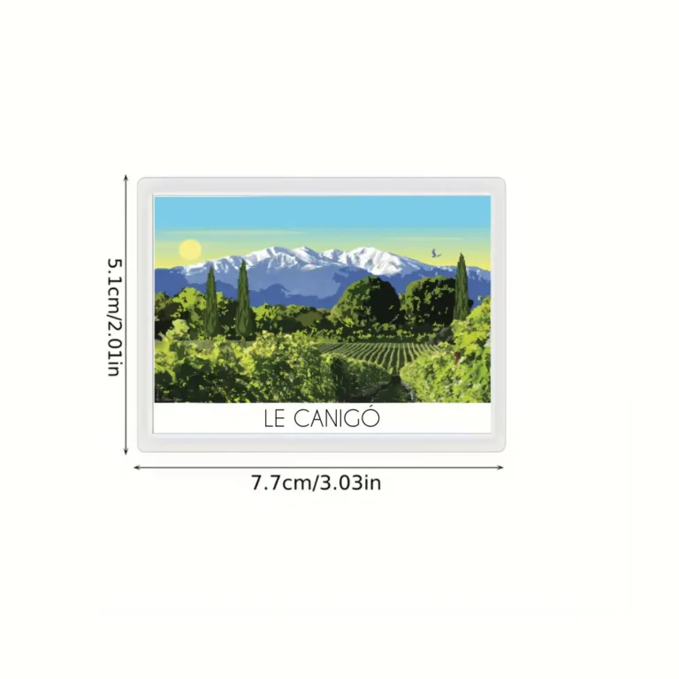 Foliove - Magnet Canigó enneigé