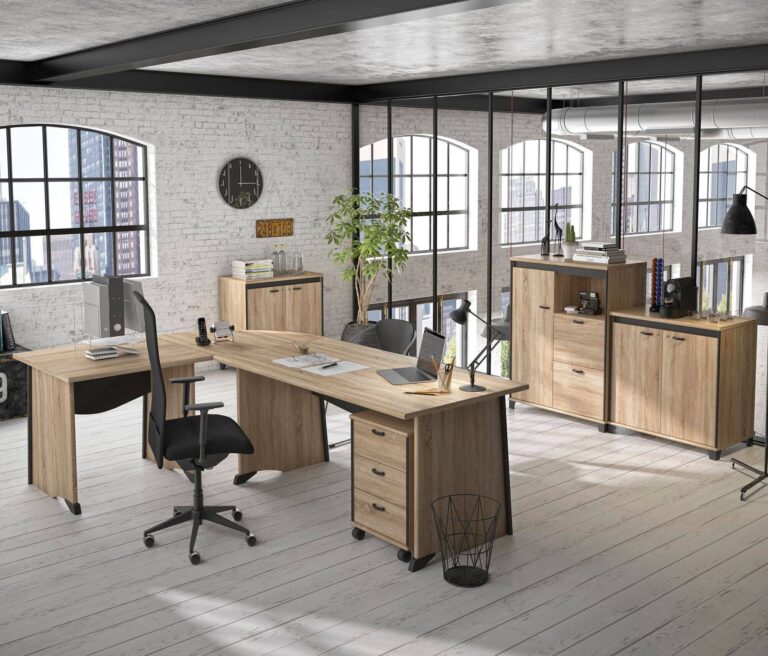 C.PRO PAR CAMIF - Bureau complet + caisson Gregory
