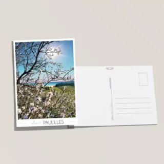Carte postale Paulilles – Amandiers par la marque Foliove Foliove - Carte postale Paulilles – Amandiers