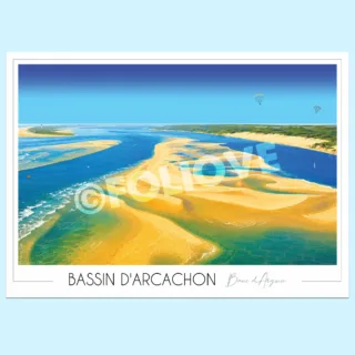 Foliove - Affiche du Banc d’Arguin – Bassin d’Arcachon