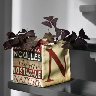 Maron Bouillie - Boite de rangement lettre N