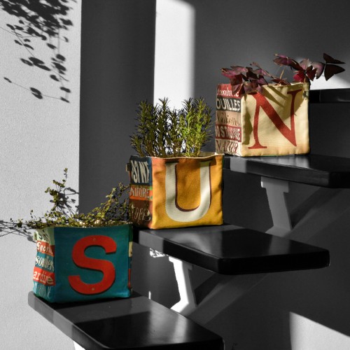 MARON BOUILLIE - Boite de rangement lettre S