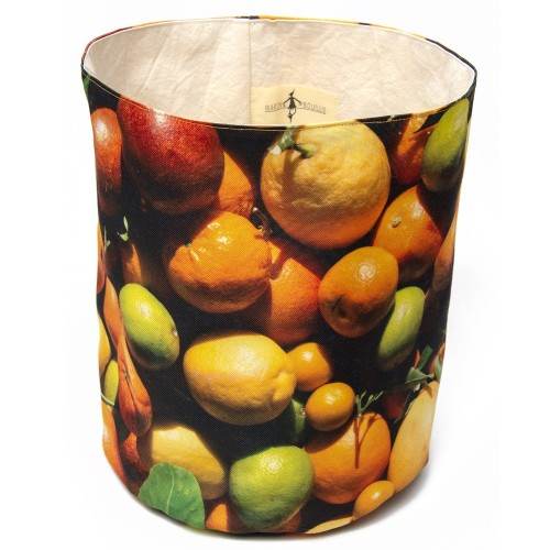 MARON BOUILLIE - Corbeille fruits Agrumes